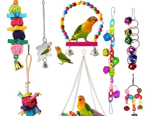 Bird pet toys